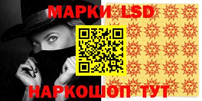 apvp Аша