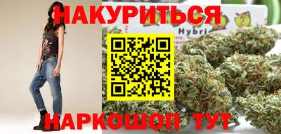 apvp Аша