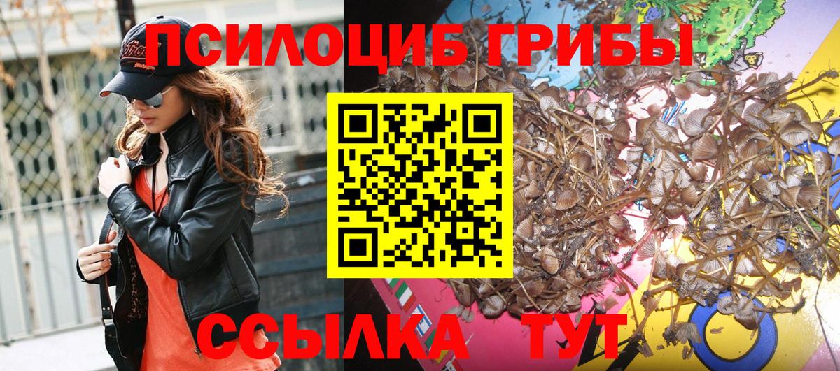 где найти наркотики  Вход с VPN  Ульяновск  Псилоцибиновые грибы GOLDEN TEACHER 
