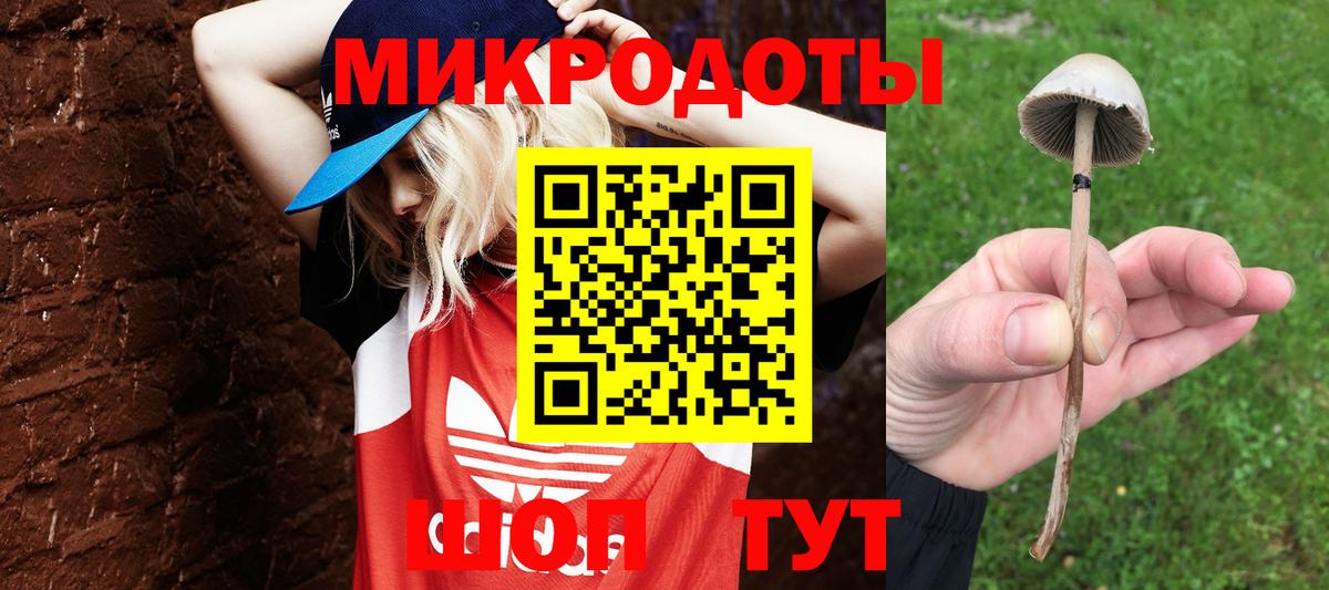 Псилоцибиновые грибы Magic Shrooms Ульяновск